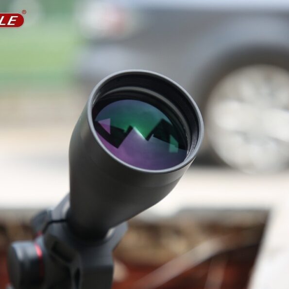 14b058da-b674-4901-8672-0b4cc1253e4d